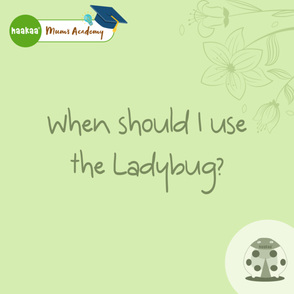 When should I use the Ladybug?